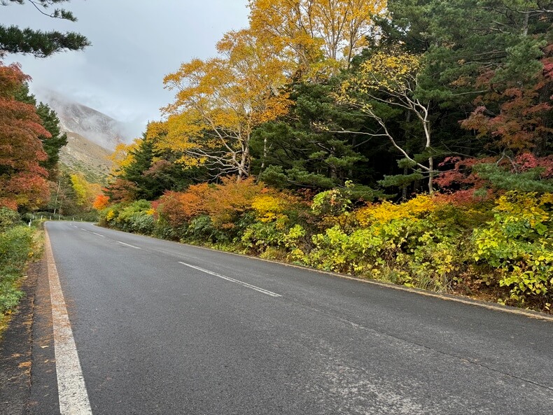 ＡＩって凄い！