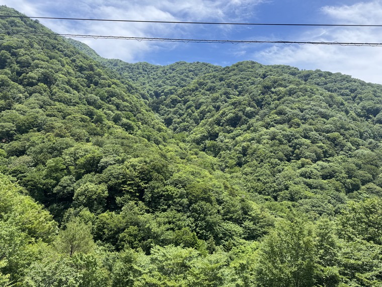 剣山系の山道