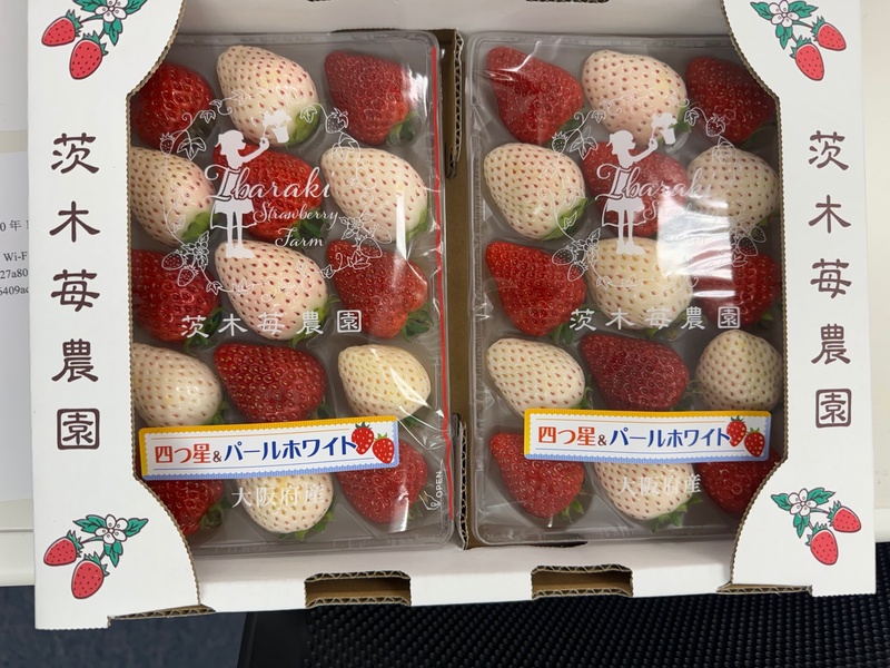 茨木農園のイチゴ