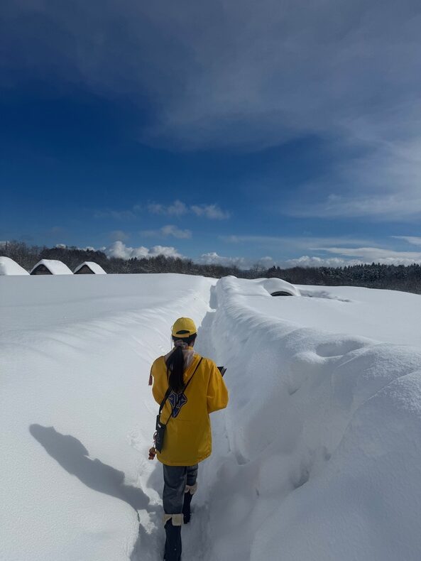 三内丸山遺跡