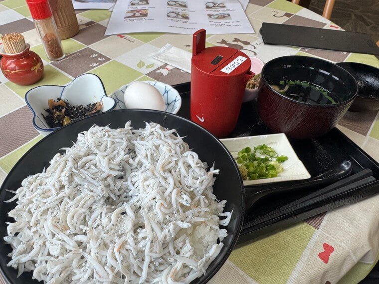 名物シラス丼